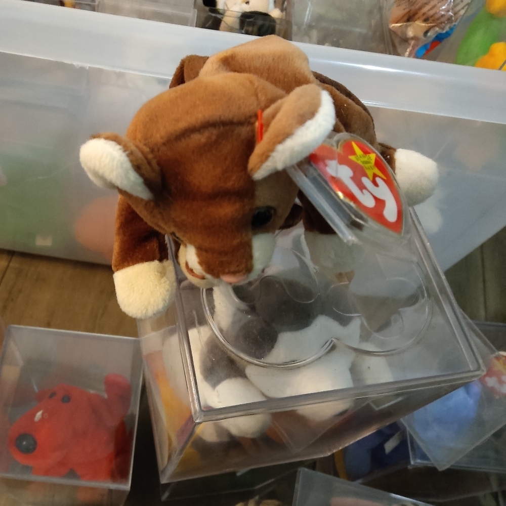 Beanie Baby